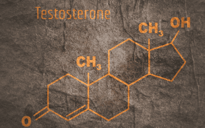 What Food Kills Testosterone?